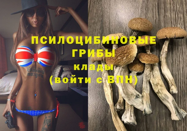 PSILOCYBIN Алексеевка