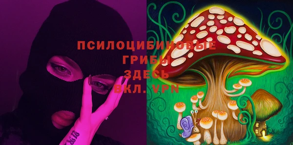 бошки Абинск