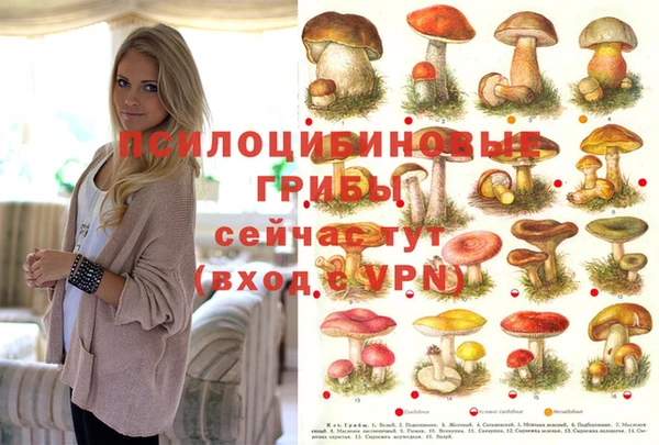 бошки Абинск